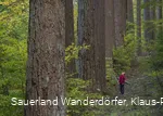 Sauerland-Seelenort Himmelssäulen