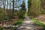 Waldweg entlang des Naturlehrpfades