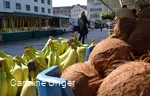 Blick über den Markt