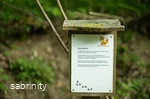 Sabrinity_BWT25_293.jpg