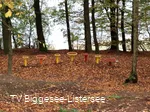 Bewegungsmeile an dem Biggesee 10