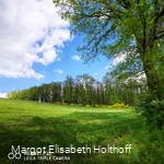 Laubwald im Frühling.jpg