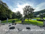 Spielplatz und Liegewiese