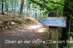 Hinweisschild zum Naturlehrpfad