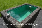kneippanlage-diemeltal4 c) tourist-information-willingen.jpg