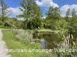 Biberteich an der Sauerland-Waldroute
