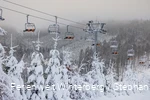 Winter_2023_Postwiese_Neuastenberg_stephanpetersdesign.de-18.jpg