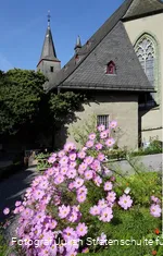 Blüten vor Klosterkirche