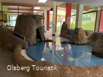 Aqua Olsberg