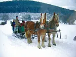 Schnee-Kutschfahrt-heller.jpg