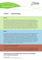 Infotafel Station 9