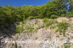 FerienweltWinterberg_2018_Hallenberg_Hesborn_Steinbruch_Gemeindesteinbruch_Dorfplatz_Felsen_Sommer_Klaus-Peter Kappest (2).jpg