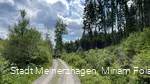 Weg zum Willertshagener Teufelsstein