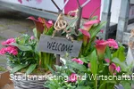 Wochenmarkt Marsberg