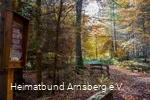 Herbst