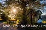 Die Lausebuche