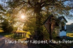 Die Lausebuche