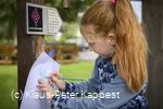 kinderpilgerweg c) klaus-peter-kappest-tourist-information-willingen.jpg