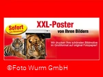 Werbung Foto Wurm.jpg