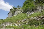 Hoher Stein mit Wacholderheide
