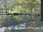 Teich-Grillstation-Schwalefeld.jpg