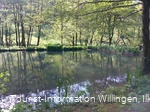 Teich-Grillstation-Schwalefeld.jpg