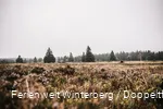 Foto-10.jpg