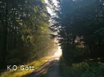 Waldbaden-Wald  quer( Foto K.O.Götz).jpg
