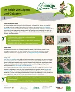 Infotafel Station 6 Waldfeenpfad