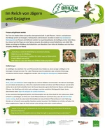 Infotafel Station 6 Waldfeenpfad