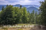 seelenort-schwalenburg-blick-zum-ettelsberg_c__klaus-peter_kappest.jpg