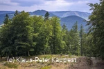 seelenort-schwalenburg-blick-zum-ettelsberg_c__klaus-peter_kappest.jpg