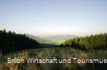 Landschaft Brilon