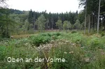 Die weite Moorlandschaft