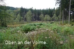 Die weite Moorlandschaft