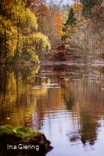 Hexenteich im Herbst
