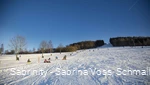 2445719