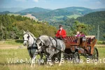 Picknickkutsche-004.JPG