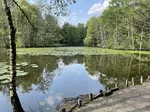 Blick auf Hexenteich
