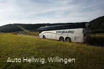 18 08 16 bus 1 008.jpg