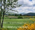 Geführte Wanderungen in Medebach