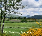 Geführte Wanderungen in Medebach