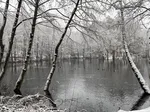 Hexenteich Winter_MK.JPG