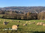 Blick vom Waldstadion
