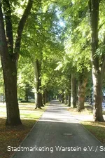 Weg im Park
