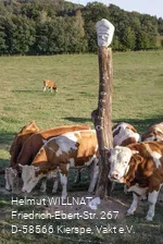Der Scheuerpfahl auf der Weide