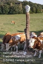 Der Scheuerpfahl auf der Weide