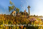hochheideturm-straeucher-sommer c) ettelsberg-seilbahn-david-heise.jpg