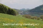 Blick auf Padberg