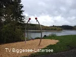 Bewegungsmeile an dem Biggesee 14
